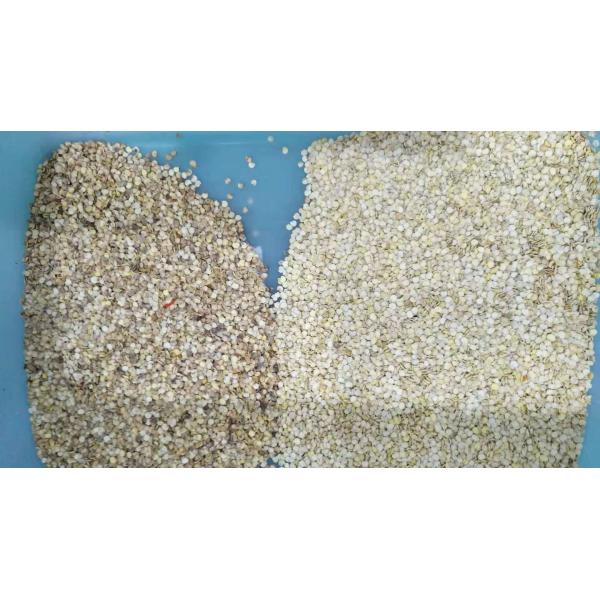 5400 Pixels Mini Coffee Bean Color Sorter With High Accuracy