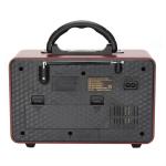 1200mhA Lithium Battery Powered Portable Radio With Bluetooth Remote Control