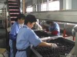 Customized Capacity Fruit Juice Processing Line Fully Automatic Control