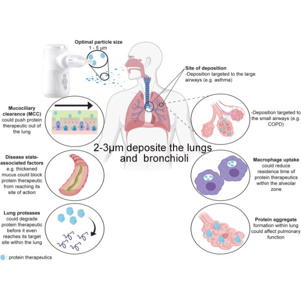 Mesh Nebulizer Machine 2.7μm for Bronchiole Alveoli Diseases, Handheld, Kids & Home Use, IPX5