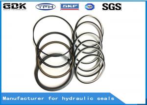Quality Center Track Adjuster Seal Kit Sany SY250-8 Rotary Swivel Joint Seal Kit for sale