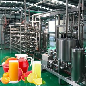 SUS304 1500t/D Citrus Processing Line Beverage Extracting Machine
