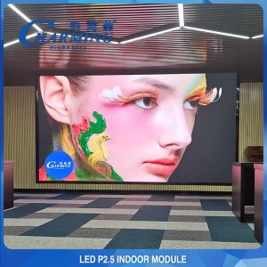Multiscene Digital Indoor LED Display Modules 3840Hz SMD2020