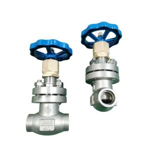 Quality DN25 PN40 Cryogenic Globe Valve With Socket Weld Ends for sale