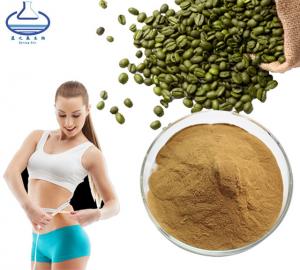 China Weight Loss Green Coffee Bean Extract Chlorogenic Acid Powder on sale