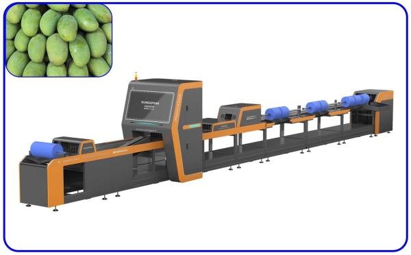 Buy Computer Control Mango Sorting Machine 18.65KW 4 Channel Intelligent at wholesale prices