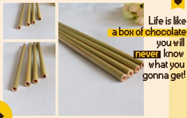 100% Bio degradable and Compostable PLA 6mm Black Bent Plastic Straw,PLA biodegradable cornstarch drinking straw made fr