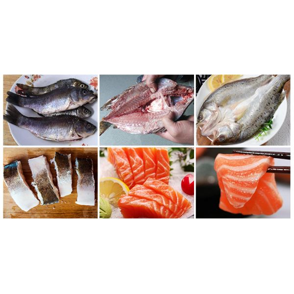 SUS304 Material Automatic Filleting Machine 1.62kw Power CE Certification