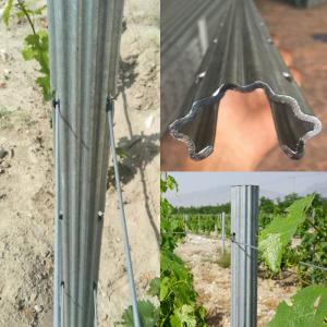 Quality 2.4m 2.5m Galvanised Steel Vineyard Posts Substitute Of Cement Posts And Wooden Posts for sale