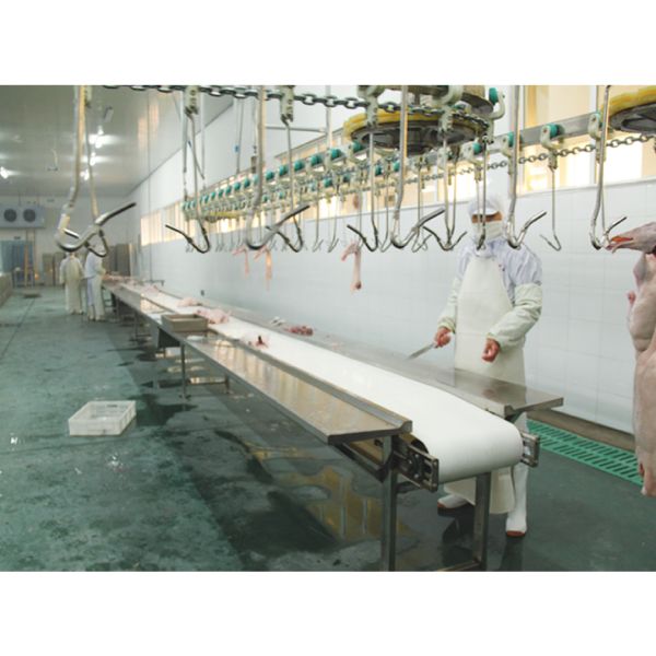 Professional Broiler Poultry Abattoir Equipment Customized Quail Slaughter Machine
