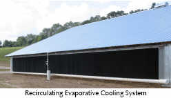 Basic Introduction to Broiler Housing Environmental Control