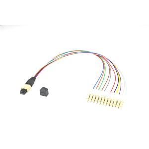 Quality Cassette Module Fanout Pigtail Patch Cord 12 Fiber MPO To LC Connector for sale