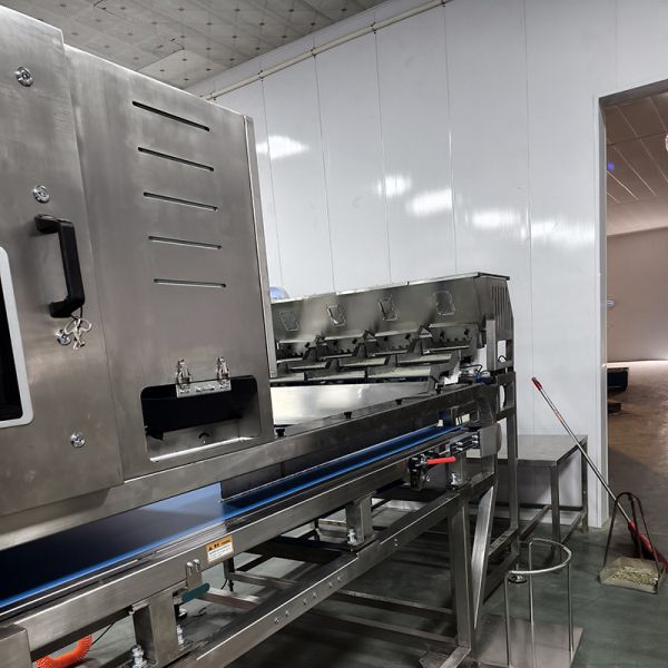 Intelligent Tea Color Sorting Machine, Suitable For Complex Materials, Ensuring Sorting Accuracy