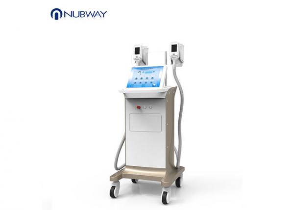 Buy Painless Freeze Fat Burning Machine , Professional Cellulite Treatment Machine at wholesale prices