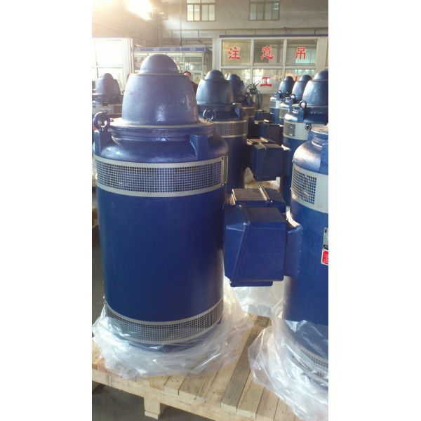 Low Vibration Vertical Shaft Electric Motor F Class Totally Enclosed VHS Motor