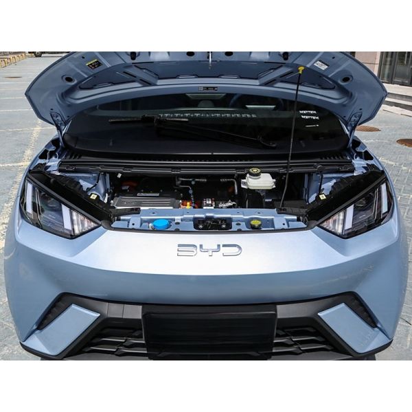 Small Byd Seagull EV Hatchback Car 450KM 2024 Electric Vehicle