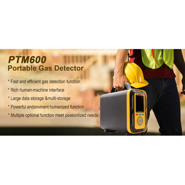 Industrial Composite Flue Gas Detector PTM600 O2 CO CO2 H2S CH4 H2