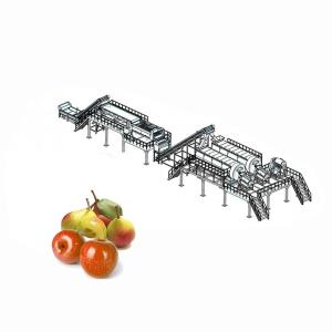 Fruit Juice Processing Machines , Apple Processing Machine For Juice Making