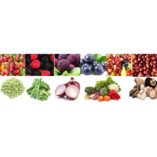 High Capacity Granule PVC PU Belt Incline Conveyor With Hopper