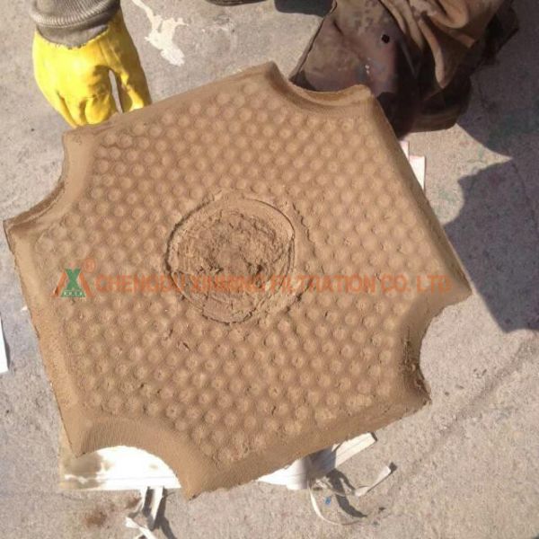 Mudular Design Automatic Pressure Filter ≥0.6MPa Filter Pressure 2580kg Weight