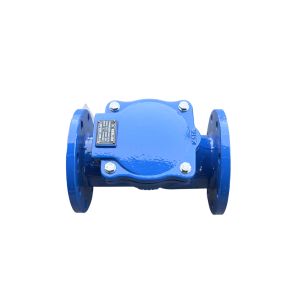 Quality Durable Rubber Flap Check Valve for Efficient Flow Control for sale