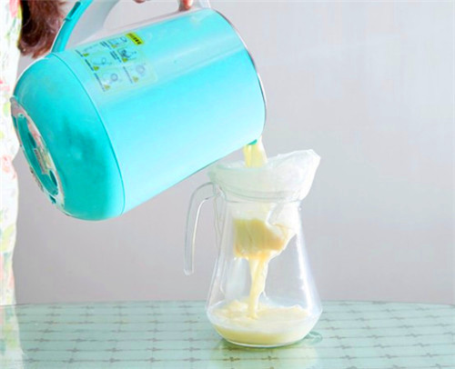 100 Micron, 120 Micron, 200 Micron Nylon Mesh Bag For Nut Milk Bag, Celery Juice Filter Bag, Vegetable Juice Filtration