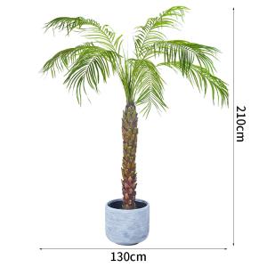 China 190cm Artificial Plants Phoenix Palm Tree Evergreen Indoor Palm Tree Rainstorm Style Palm Tree on sale