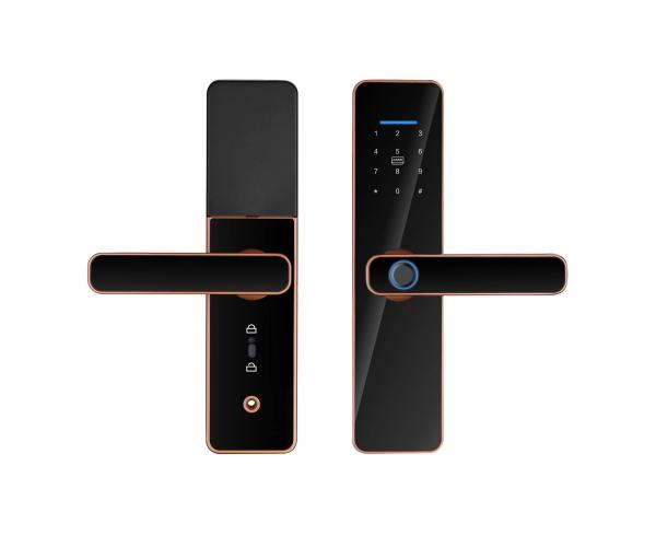 Convenient and Home Automatic Tuya Wifi Lock TTlock BLE Fingerprint Password