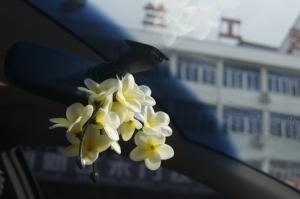 Quality Car Rear View Mirror Hanging, Car Decoration with Flower and Perfume for sale