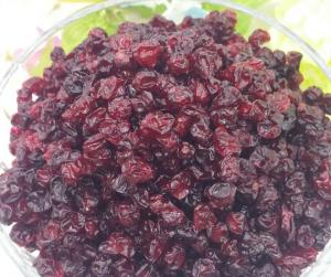 Quality Dried wild bearberry fruits in natural way for herbal medicine in China Xiong guo gan for sale
