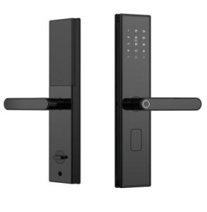 Class C Lock Core Smart Door Lock With Remote Control