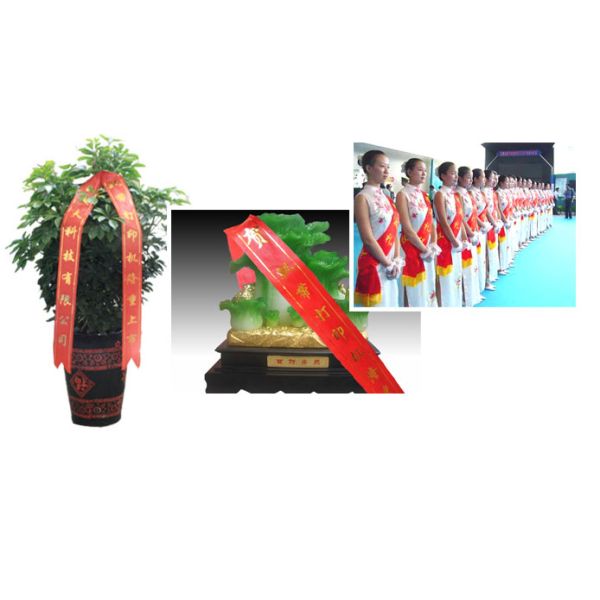 Digital Hot Stamping Machine for Ribbon