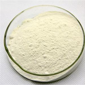 Quality Chengyida supply 25kg bag xanthan gum food grade bulk thickener CAS NO 11138-66-2 for sale