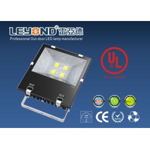 China 200W LED Flood Lights Outdoor High Power With Bridgelux 45mil chip COB Meanwell driver HLG UL on sale