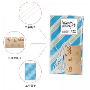 China Gravure Printing LDPE Plastic Large Bike Bag 36x56 With String Tie on sale