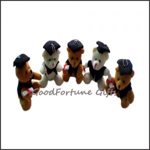 China Promotion plush teddy college graduation bears doll toy on sale