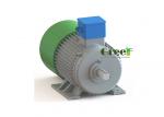 3 Phase Low Speed Alternator Cast Iron Free Energy Generator OEM Service