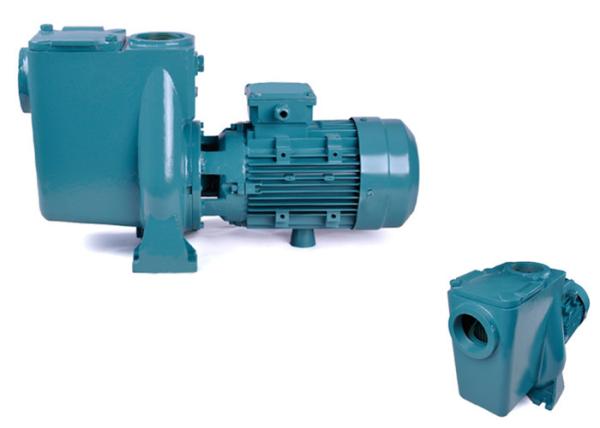 Buy Quiet Work Variable Speed Pool Pump , Anti Corrosive Swimming Pool Circulation Pump at wholesale prices