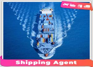 Quality Safe International Sea Freight Forwarding From Shenzhen To Saudi Arabia for sale
