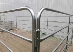 Quality Pre Galvanized Tube Welded 1.8m Height Cattel Panel With 50x50mm Square Pipe for sale