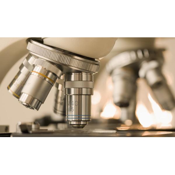 Home Use Fingertip Specimens 20min Hepatitis Rapid Test Kit