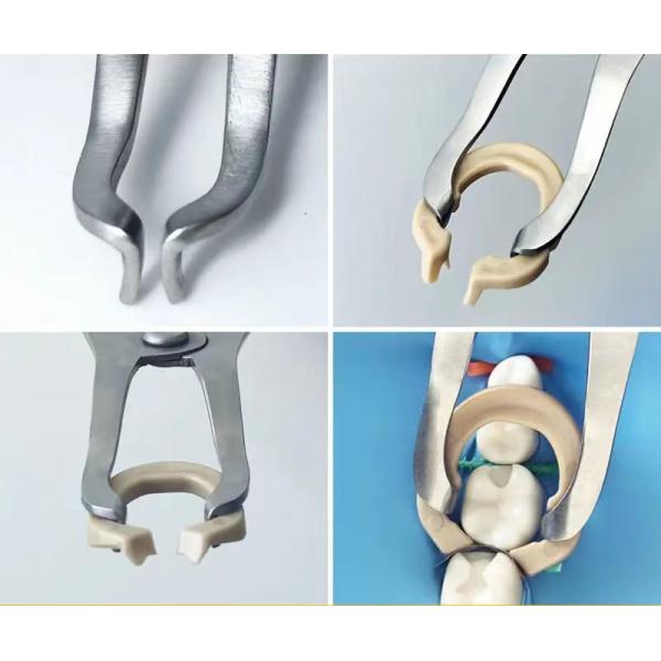 Dental Sectional Matrix System F1 Autoclavable includes Matrix Bands M2 + Clamp Ring R3 1.0