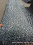 Hexagonal wire mesh/chicken wire mesh Plastic Coated Hexagonal Wire Netting for