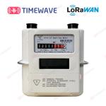 LoRaWAN Smart Gas Meter Secure Gas Consumption Meter Lithium Battery Digital