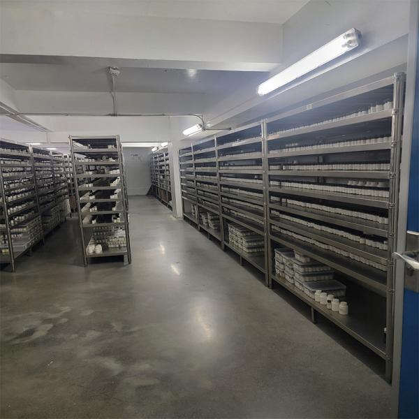 Bulk High Concentrated Red Pomegranate Fragrance Nourishing Essential Oil For Shampoo Making