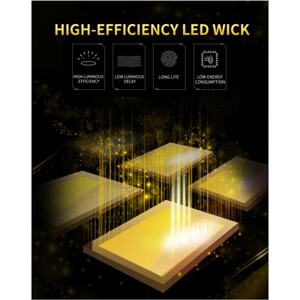 1600lm 120LEDs/M 2835 24V 12W Color Changing LED Strip