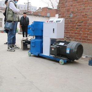 Chicken Farming Small Feed Pellet Machine 200-300kg/Hr