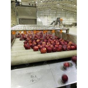 440V Energy Saving Apple Processing Line For Jam Making