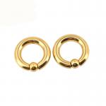 BODY PUNK Piercing Earring Ring Ear Stretcher Expander Weights BCR Gold Captive