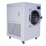 China Multifunctional Vacuum Freeze Dryer Machine For Vegetable Fruit for sale